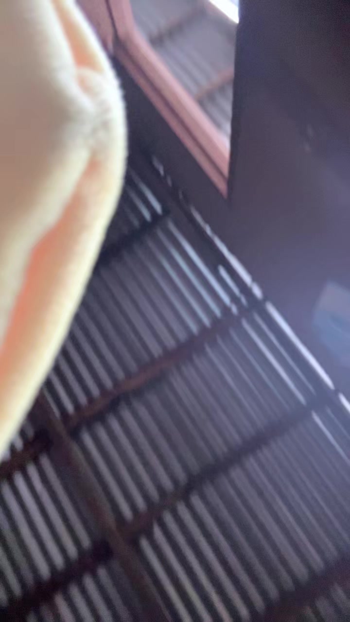 @444_reyn