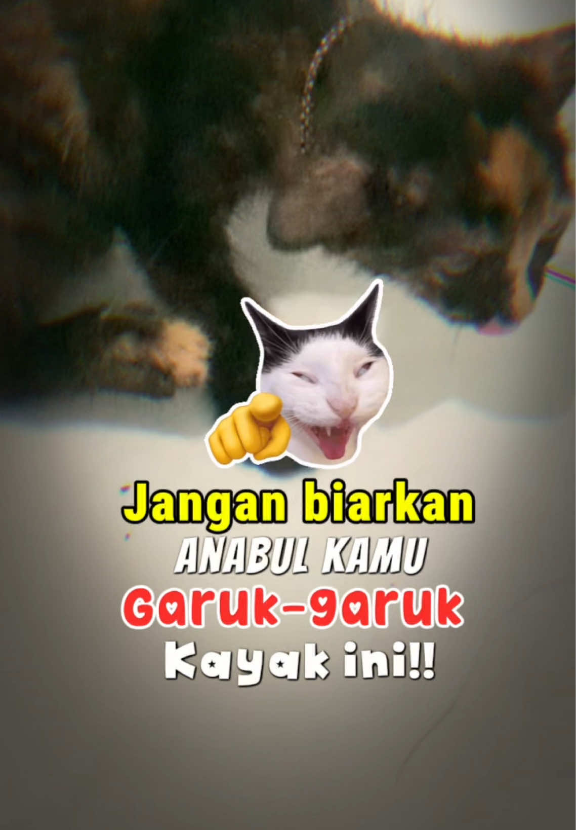 @bejaminsorui