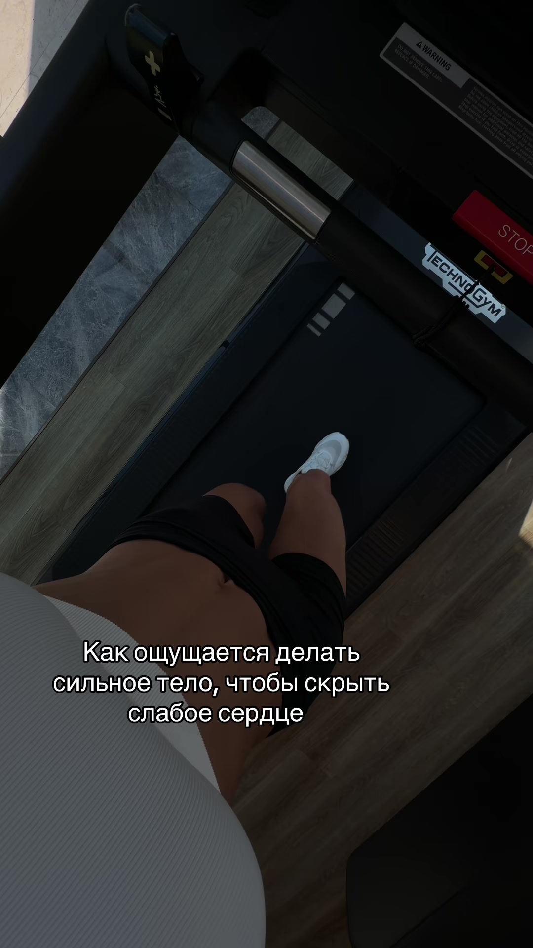 @genlistef