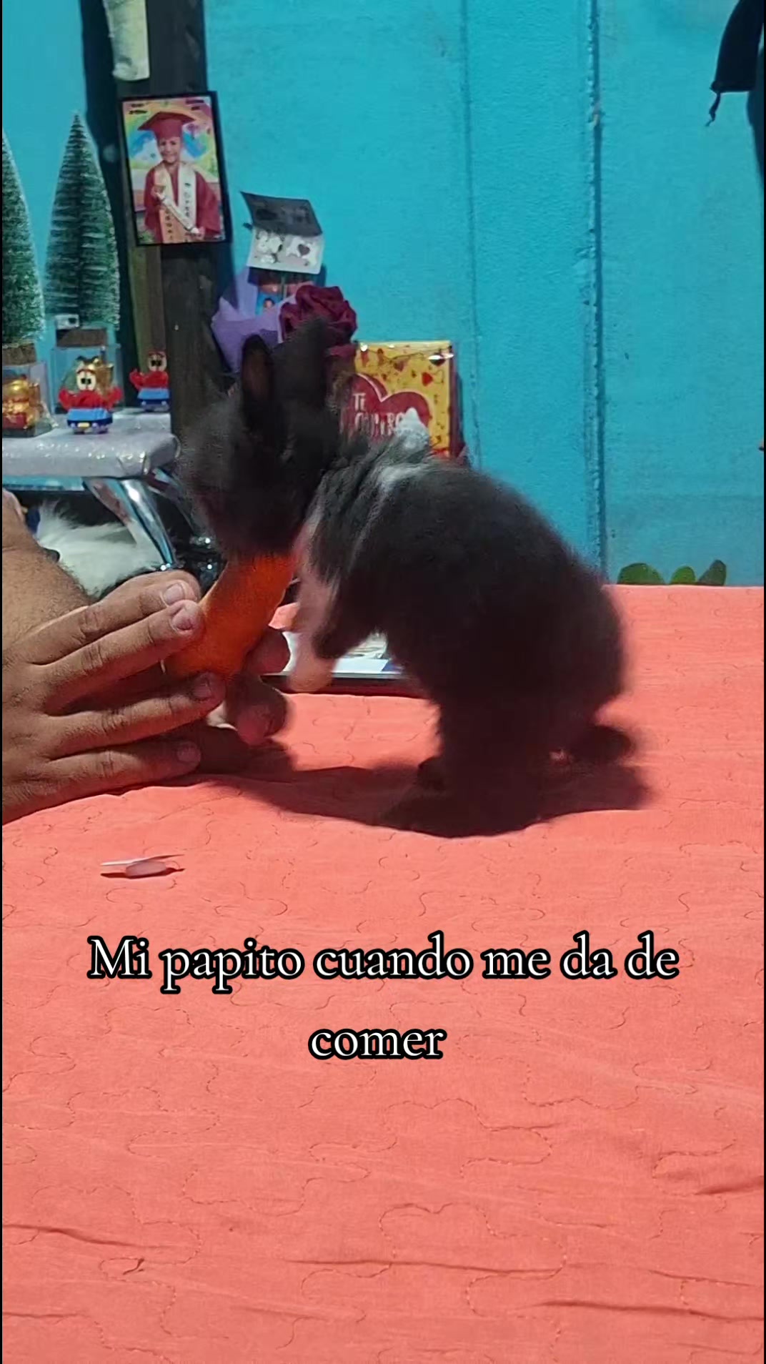 @🌹Fer Campos 🌹