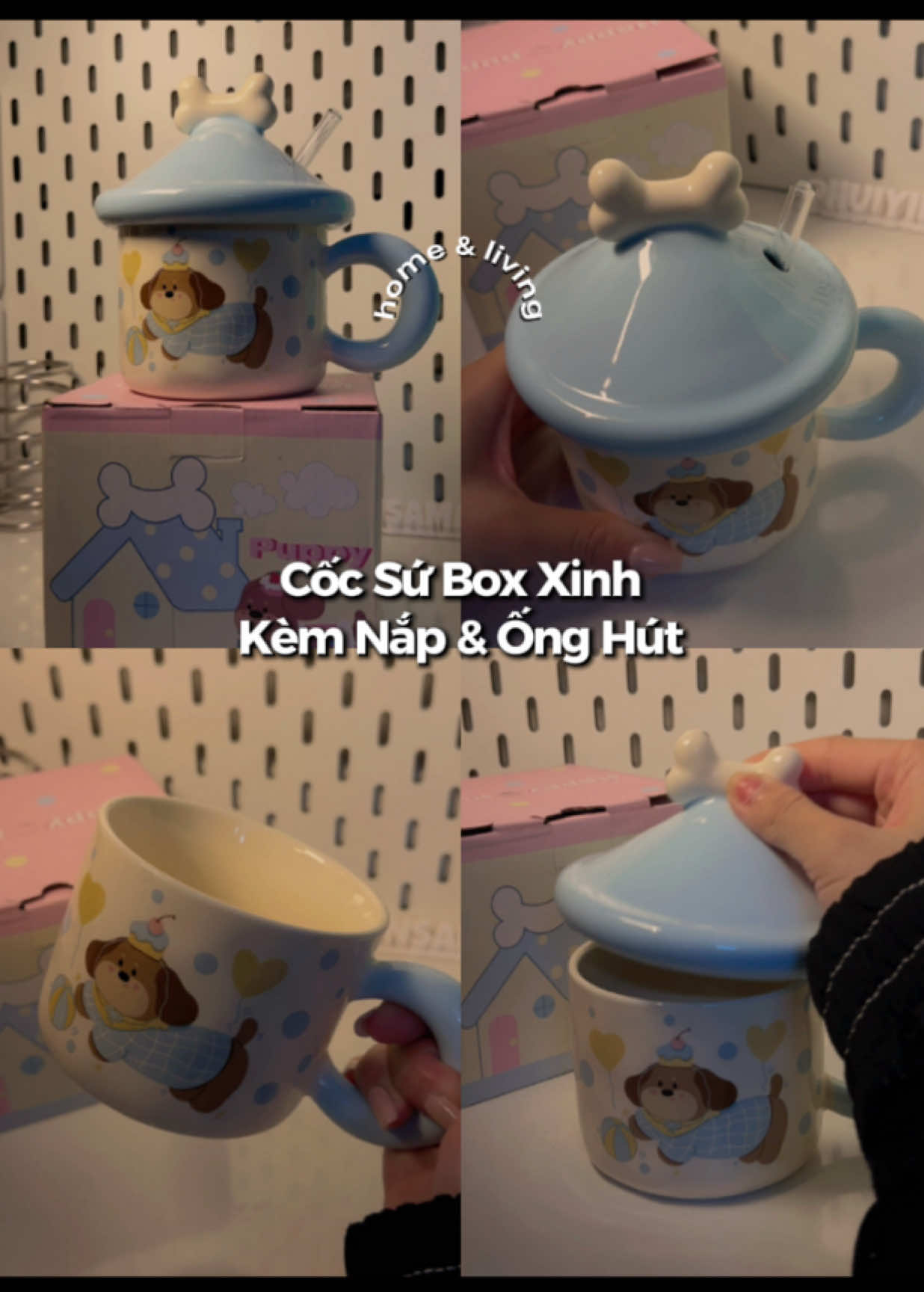 @٠࣪⭑ Hui Yin Chuột Bạch Ი︵𐑼