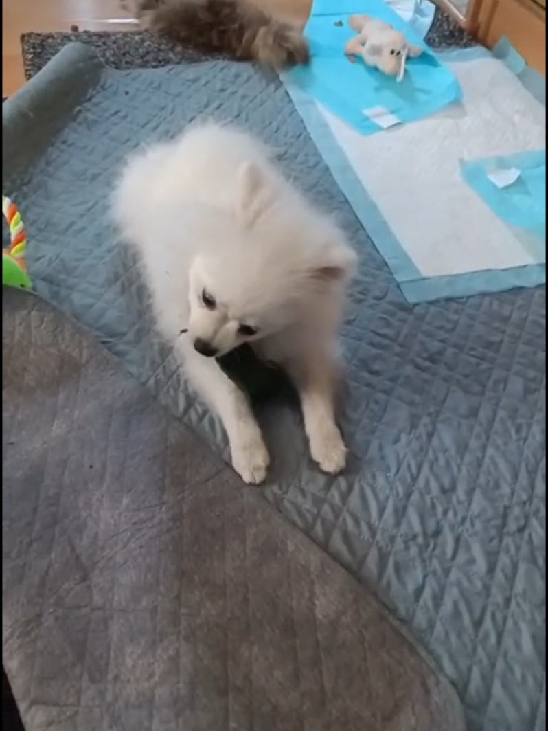 @Миронова Ольга Дима
