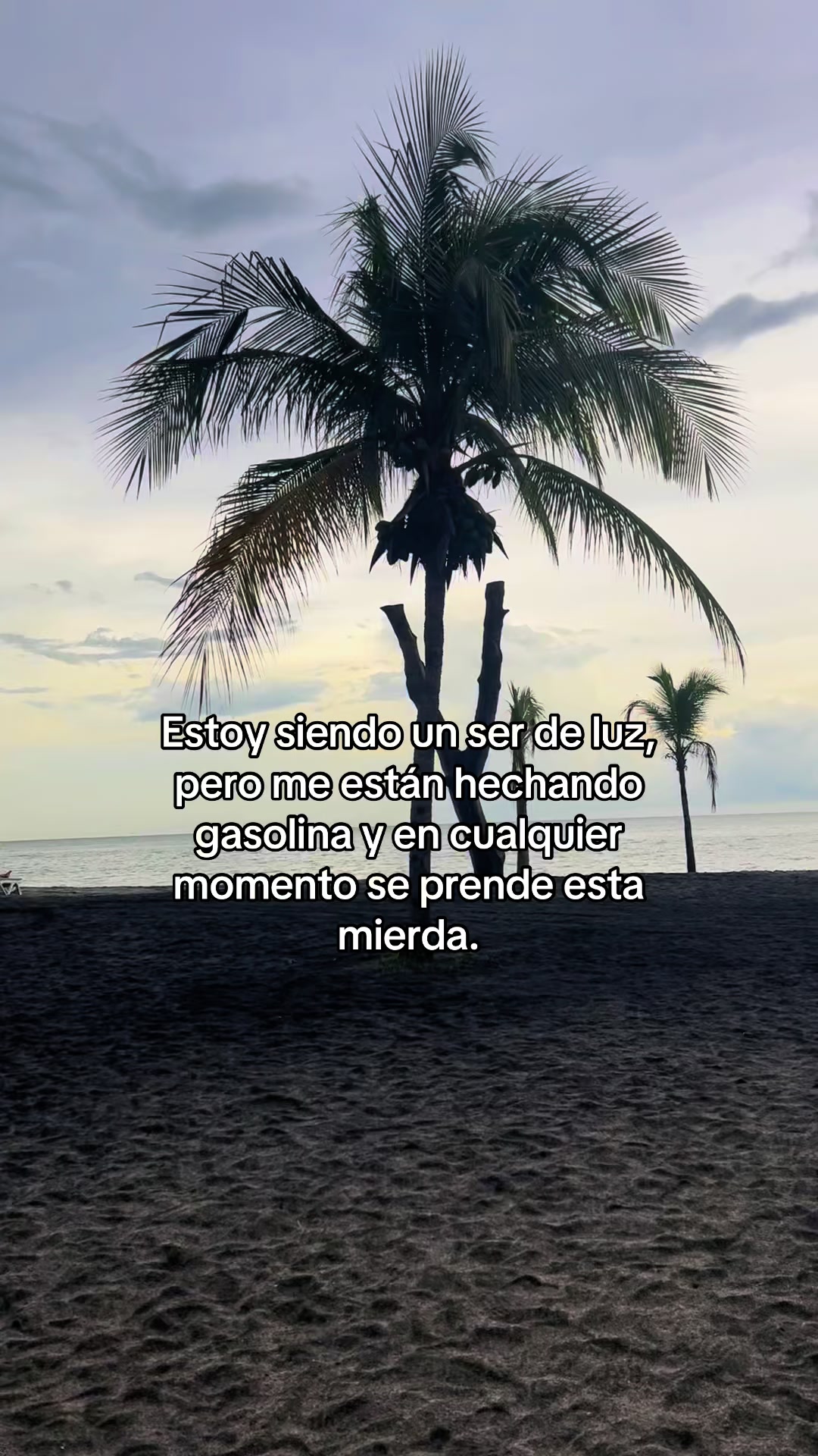@Micheell 