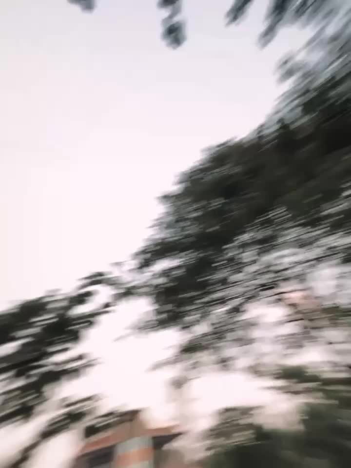 @🕷️࿚𝗥𝗜𝗙𝗔𝗧࿙🕷️