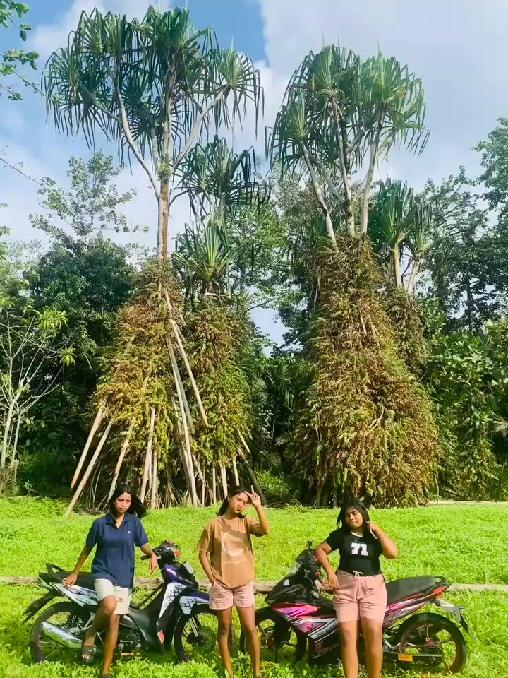 @delapanbelas