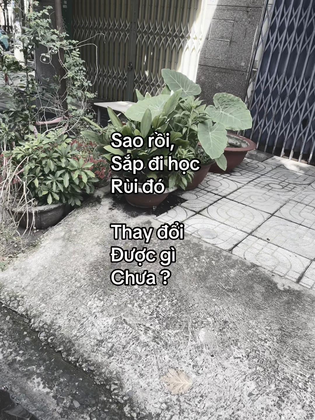 @Tiến Đức