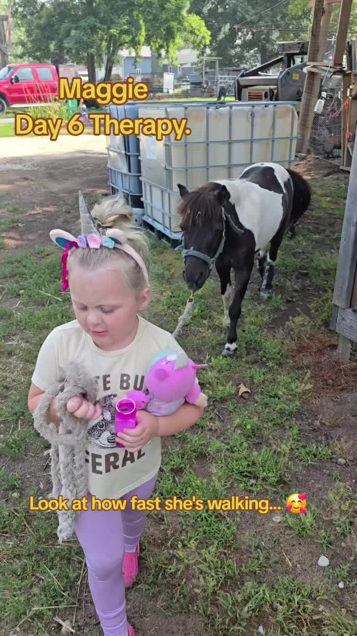 @Small Town Farm LLC