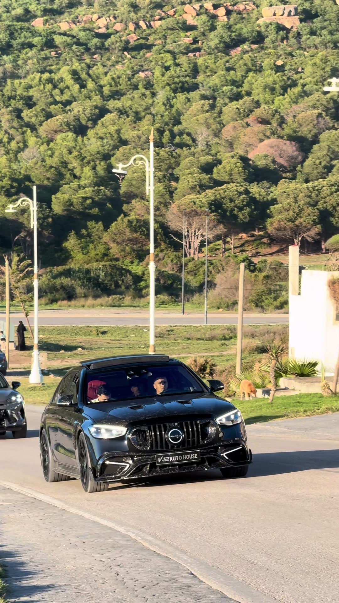 @Cars488