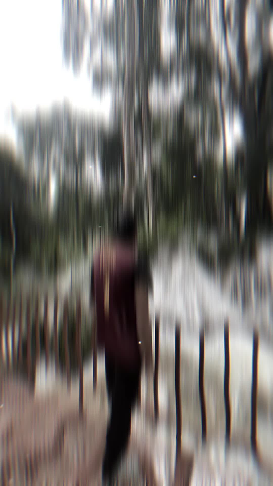 @tiger_1419