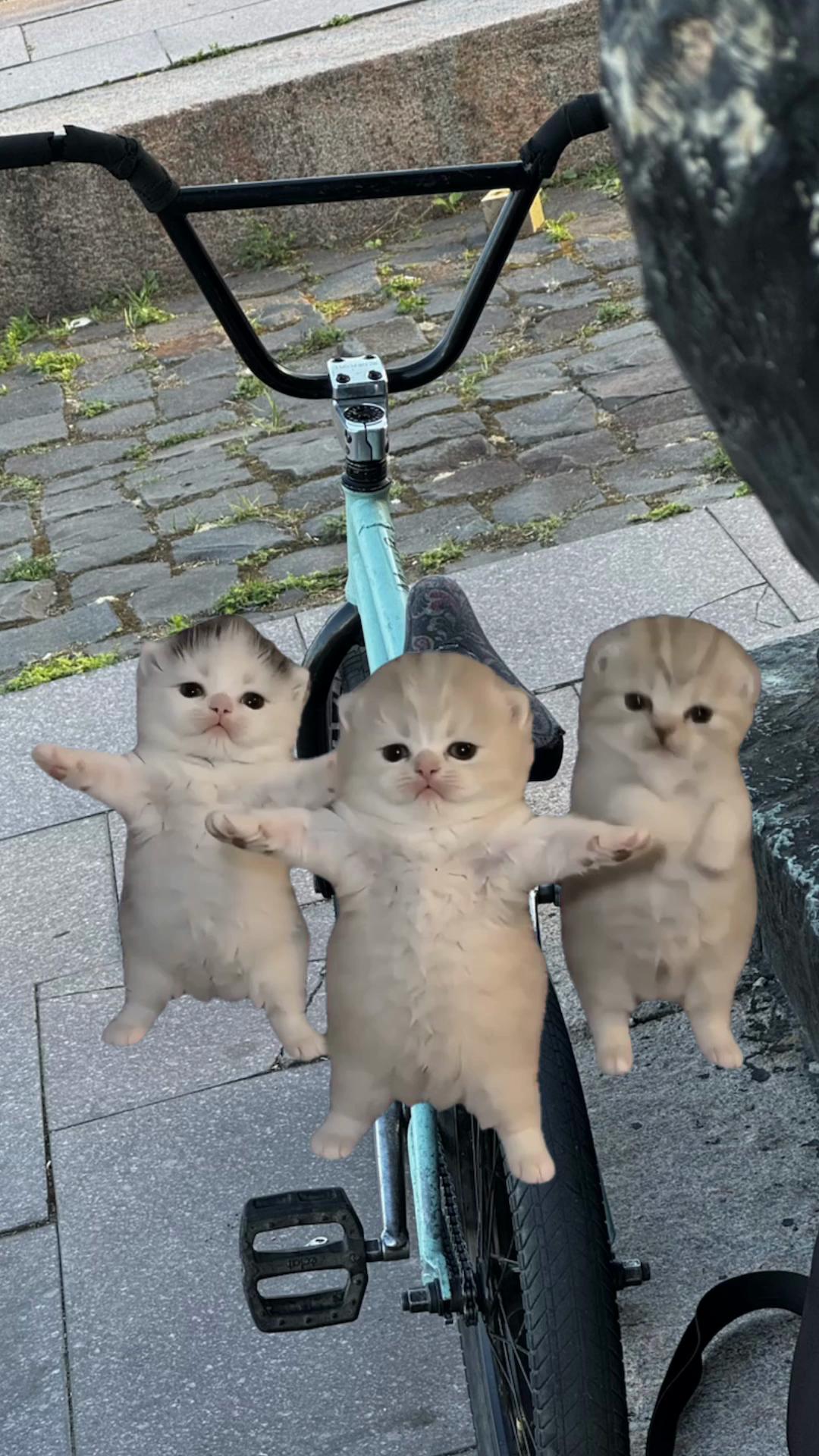 @swaggbmx