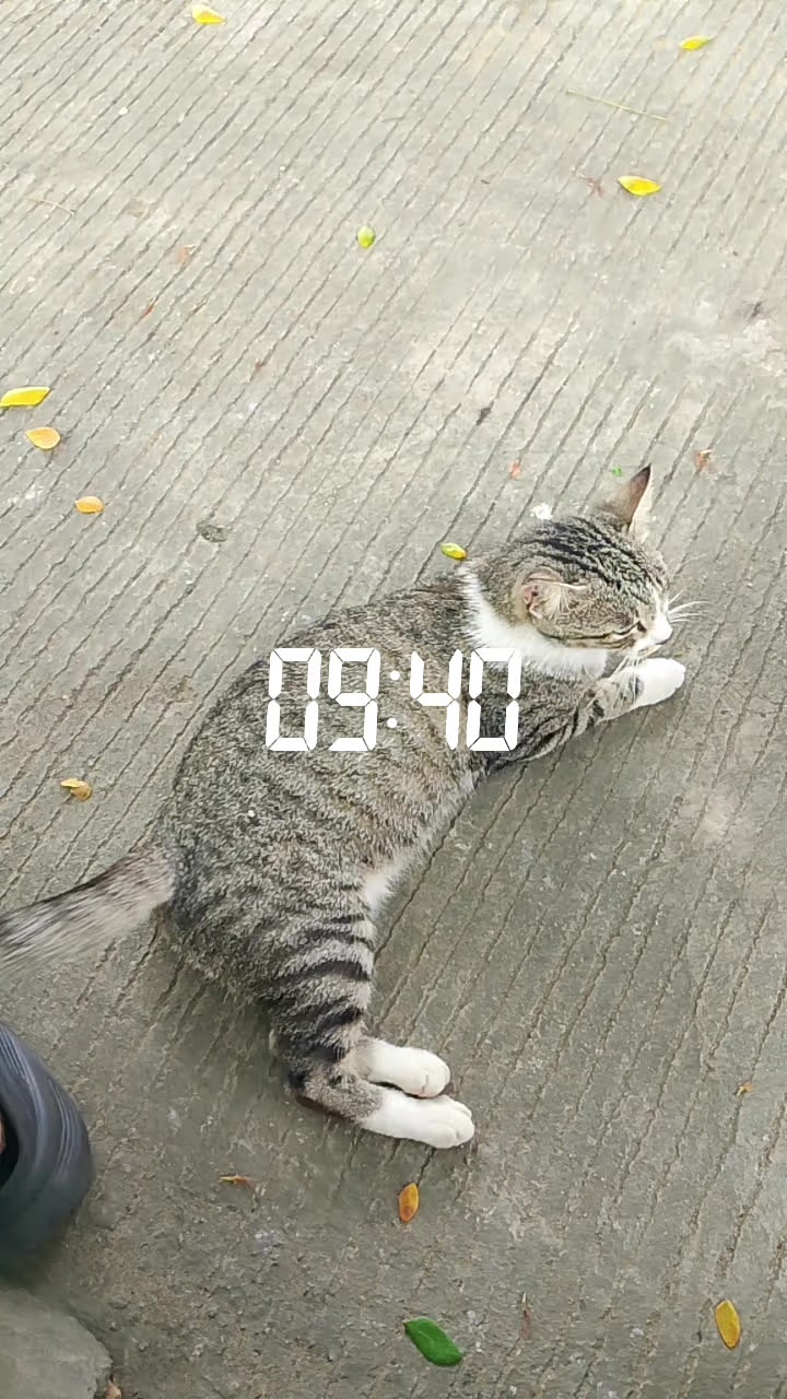 @Aisyah Samarinda