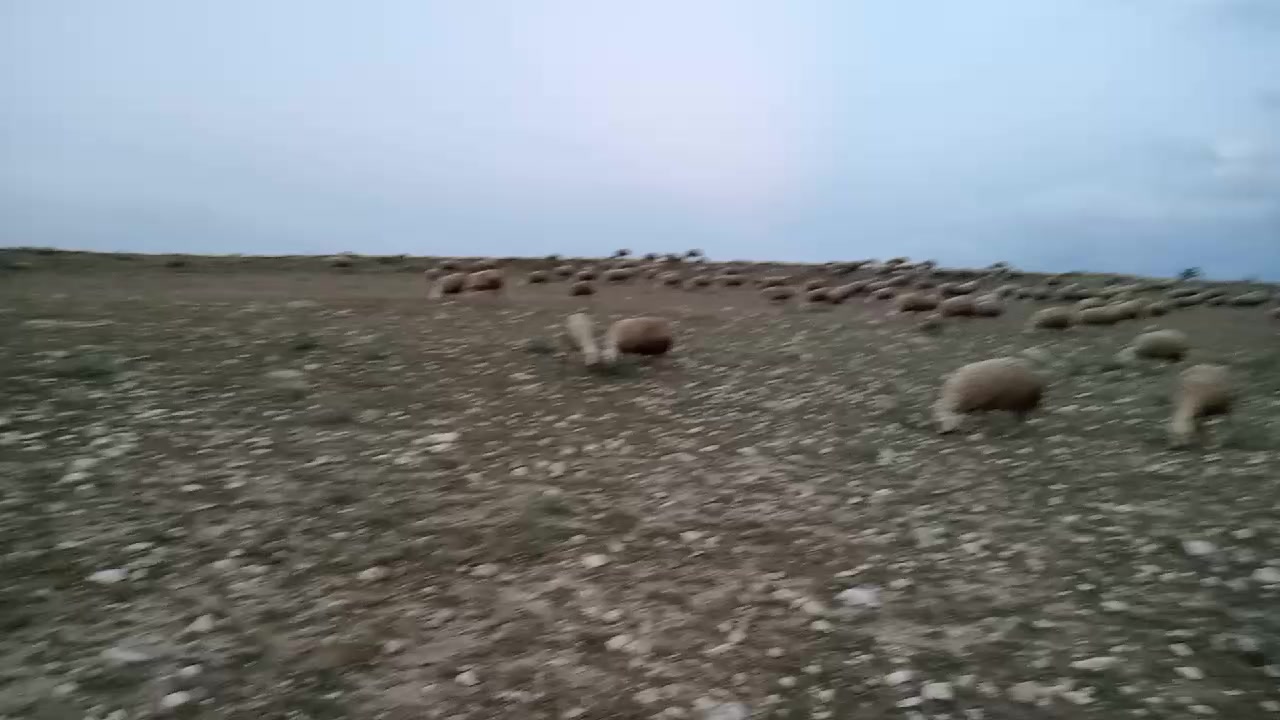 @İbrahim Kılıç