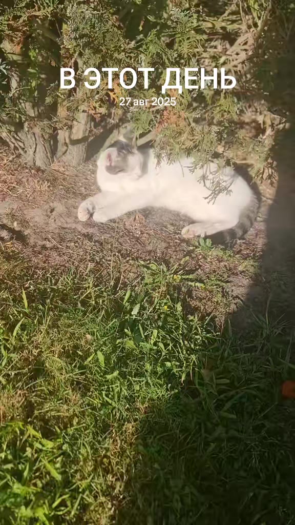 @😛Катюша😛