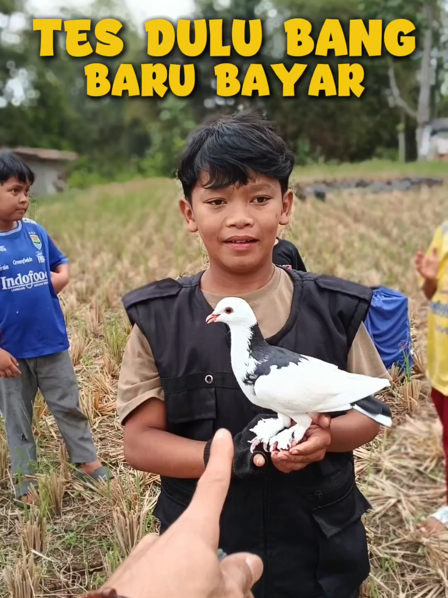 @BANG LEYON