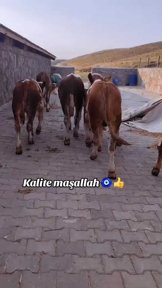 @yusuf yıldırım 04