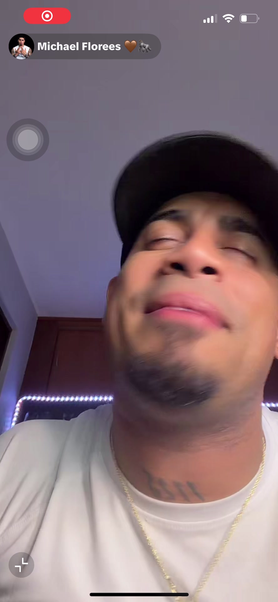 @teamperversaflorees