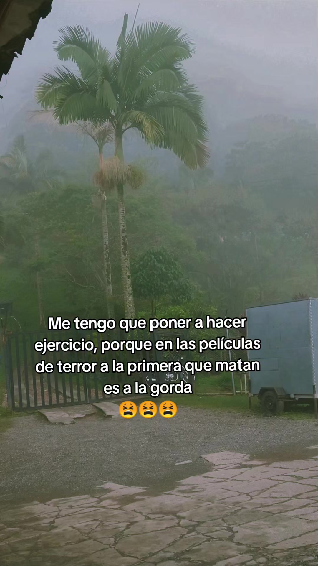 @Geral 🧚🏻