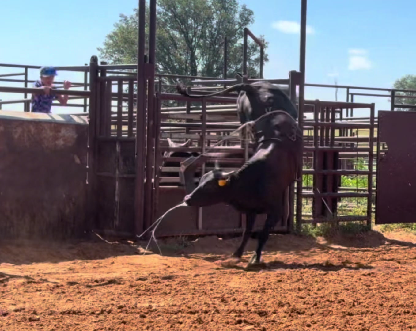 @6M Ranch & Antique Woods