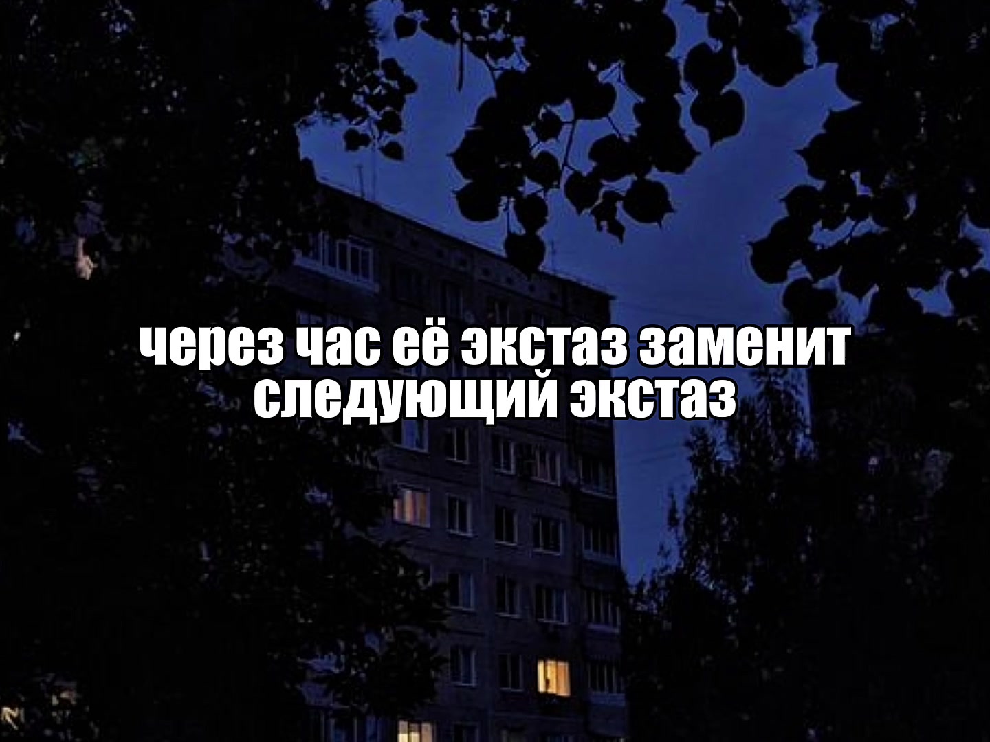 @𝐓𝐑𝐈𝐁𝐋𝐄𝐗