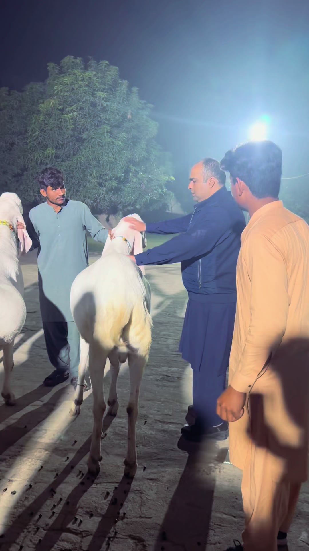 @Buraq waqar