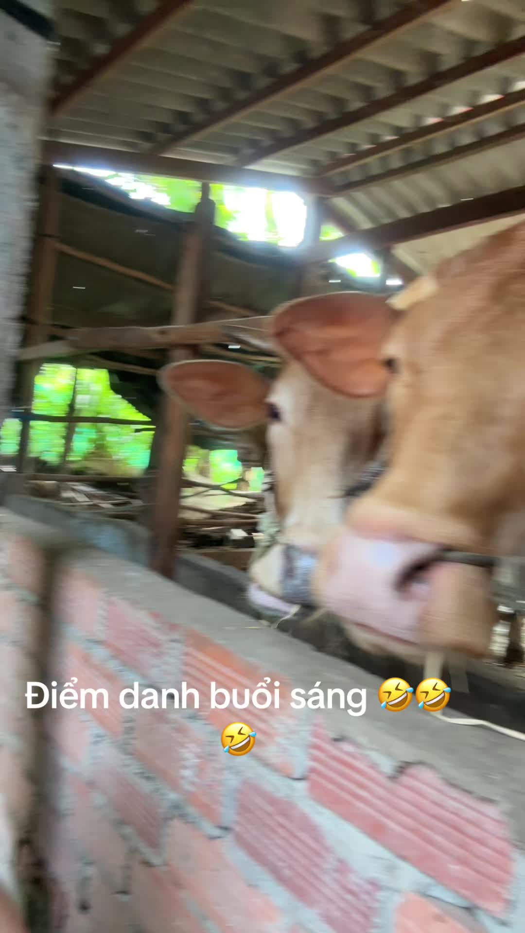 @Loan SN t2