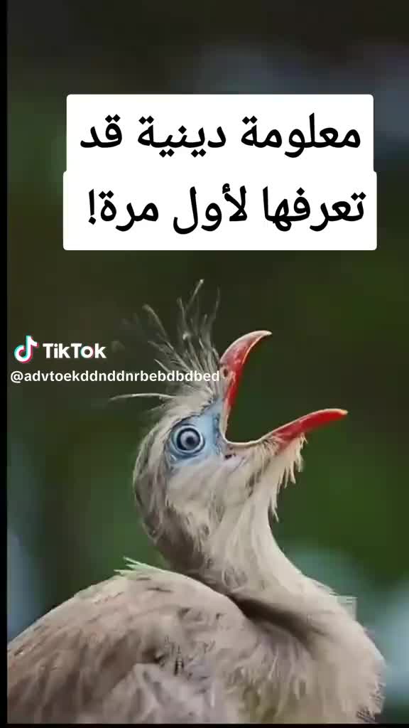 @mohammed68