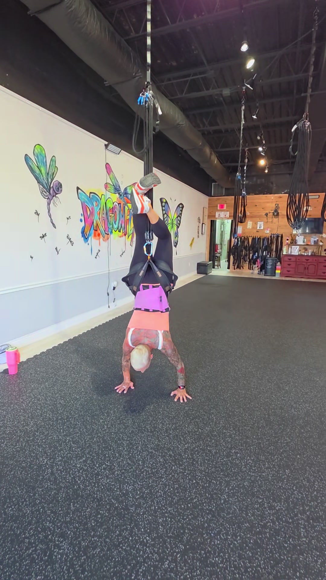 @Dragonfly Bungee