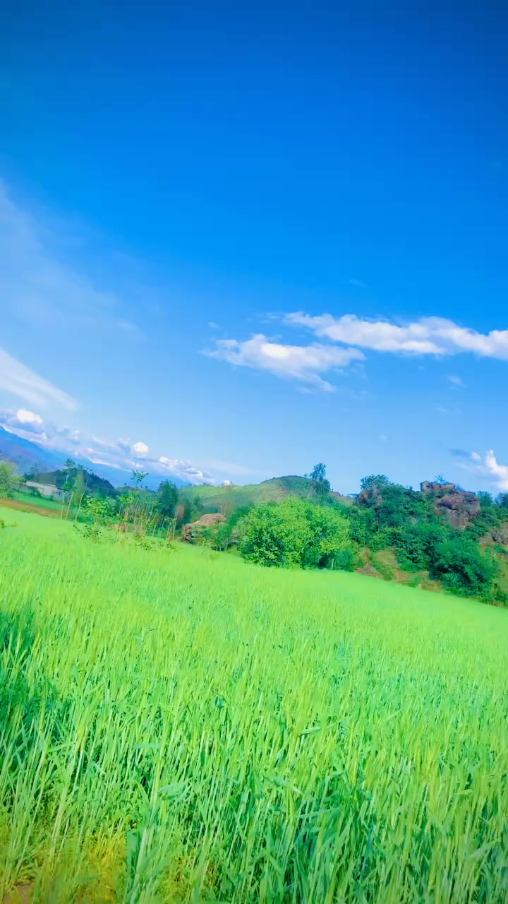 @ALONE..YARBASH🇵🇰.302