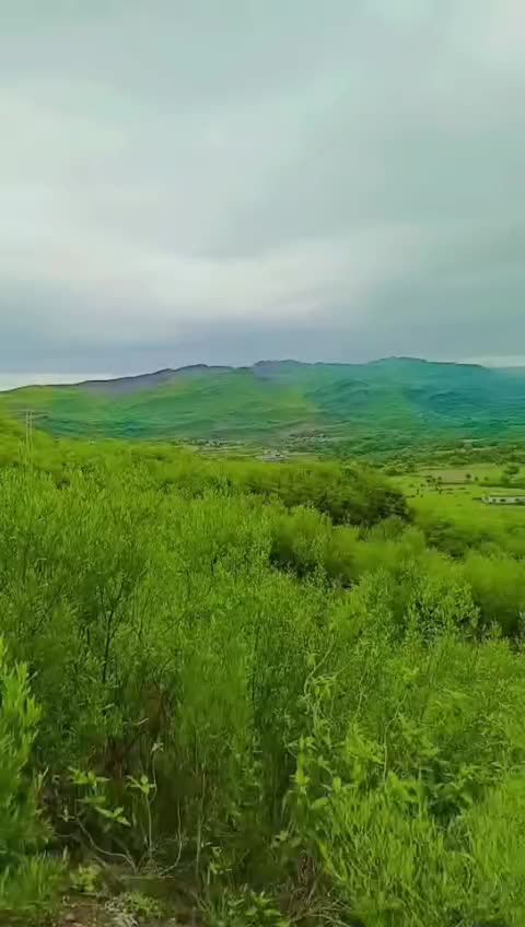 @umer123