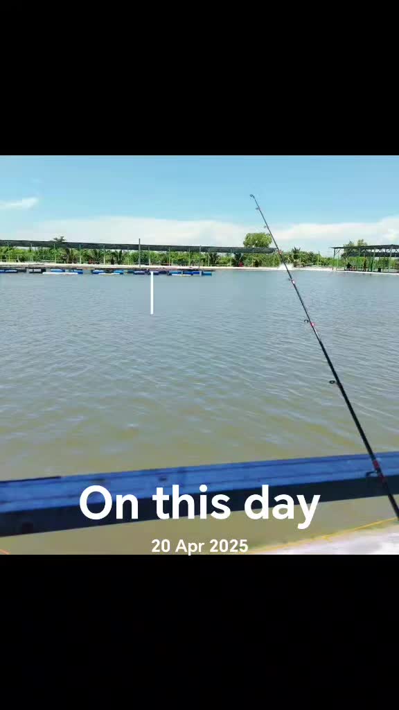 @MAEL ANGLER TST