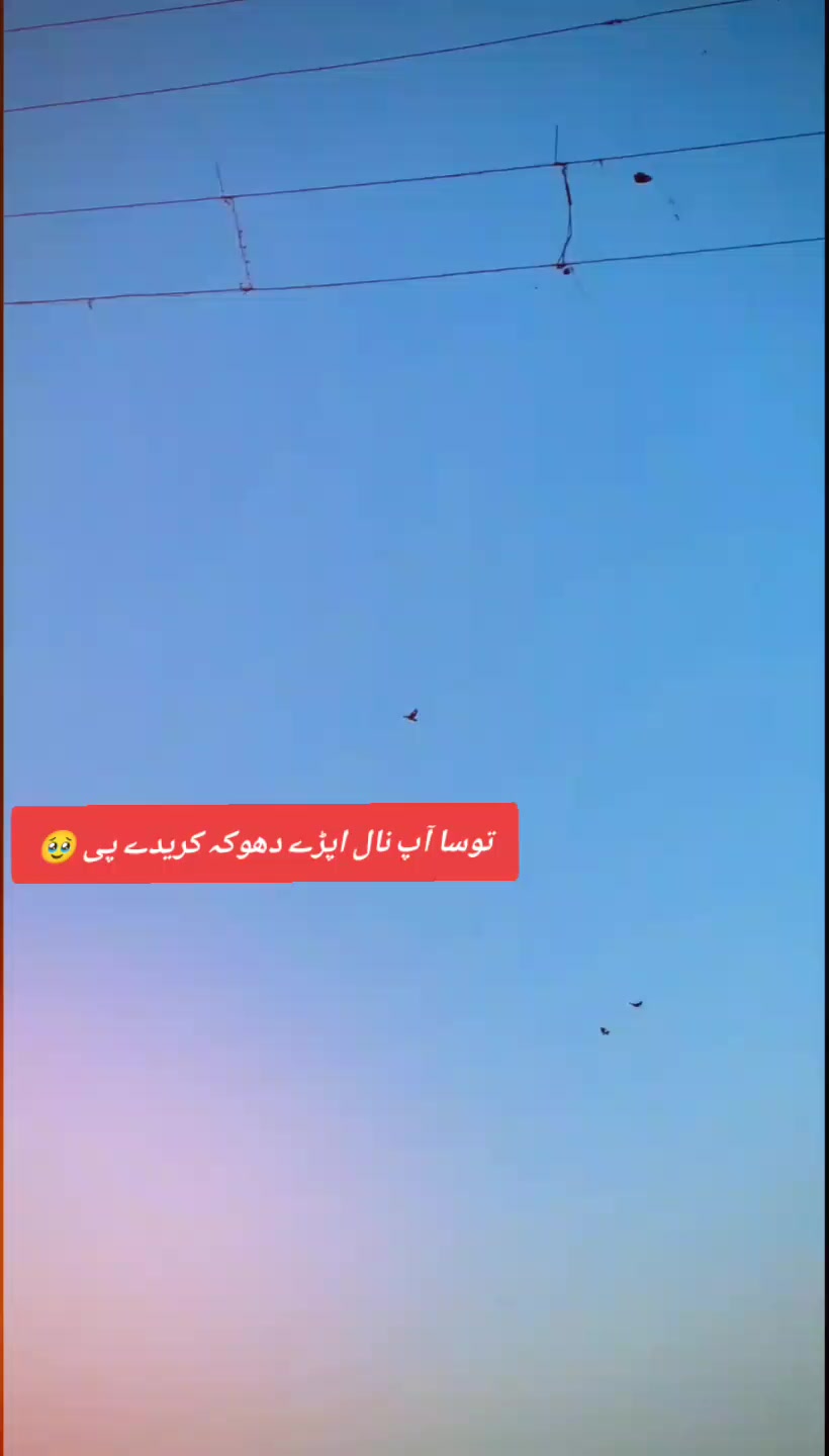 @NAVEED PiTAFi🥷