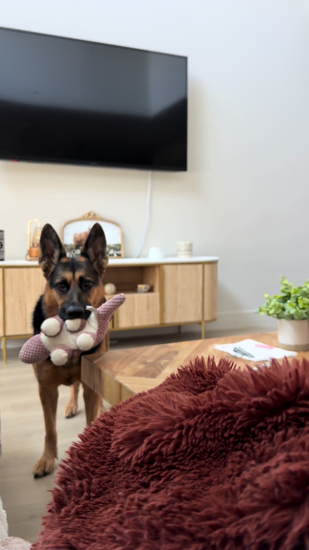 @Rory The Not-Working GSD