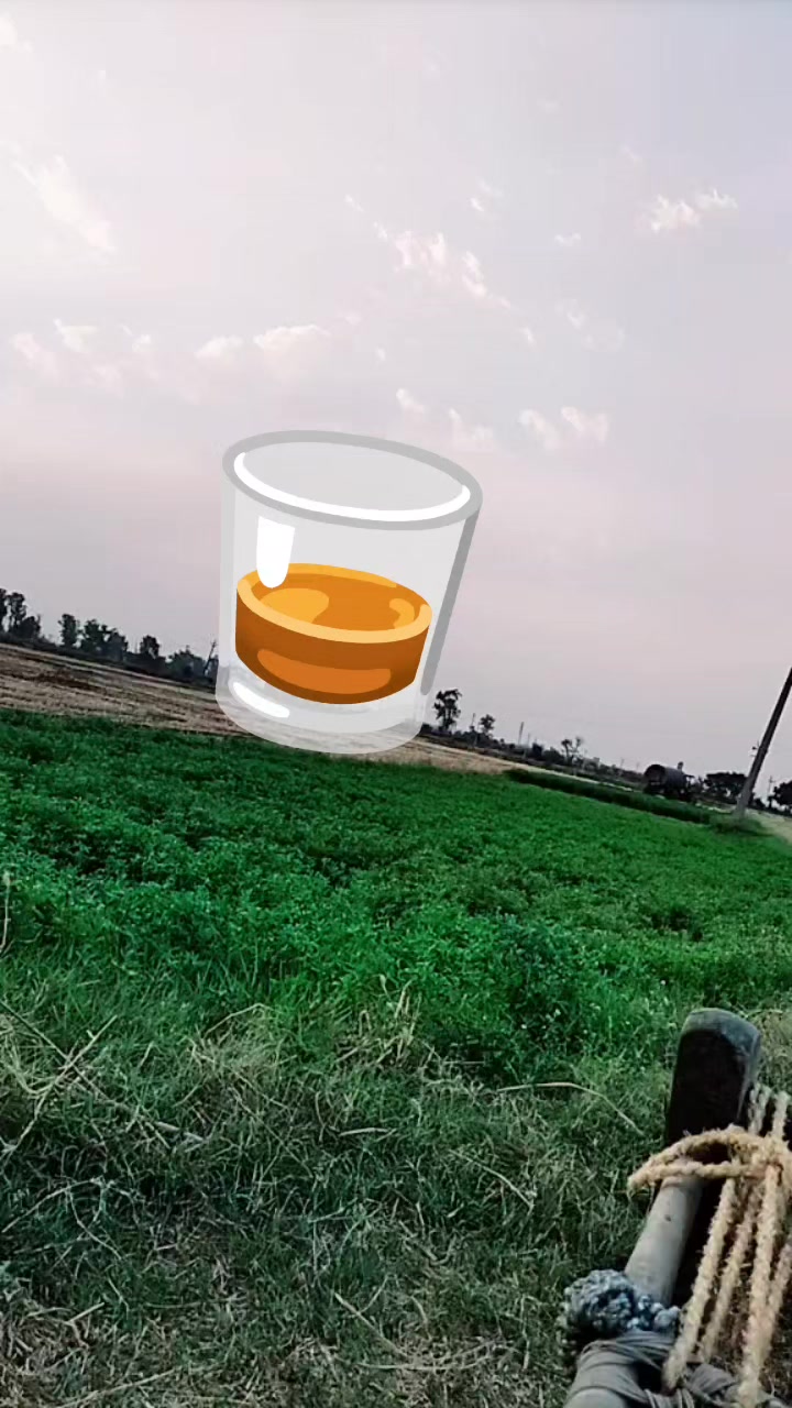 @chaudhary saab