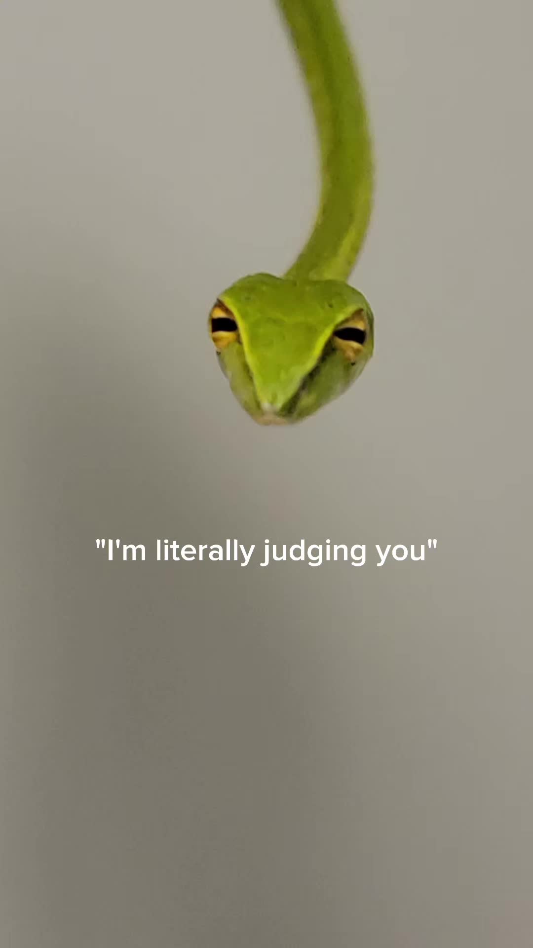 @Joey Josselson