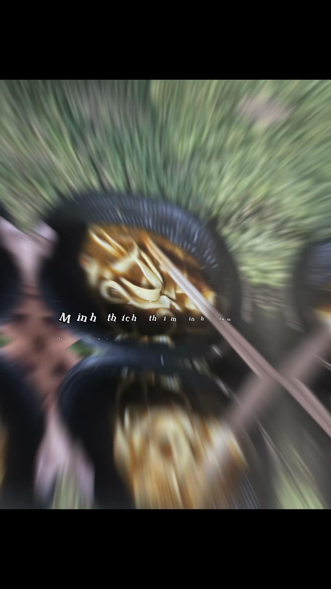 @28cp🇻🇳