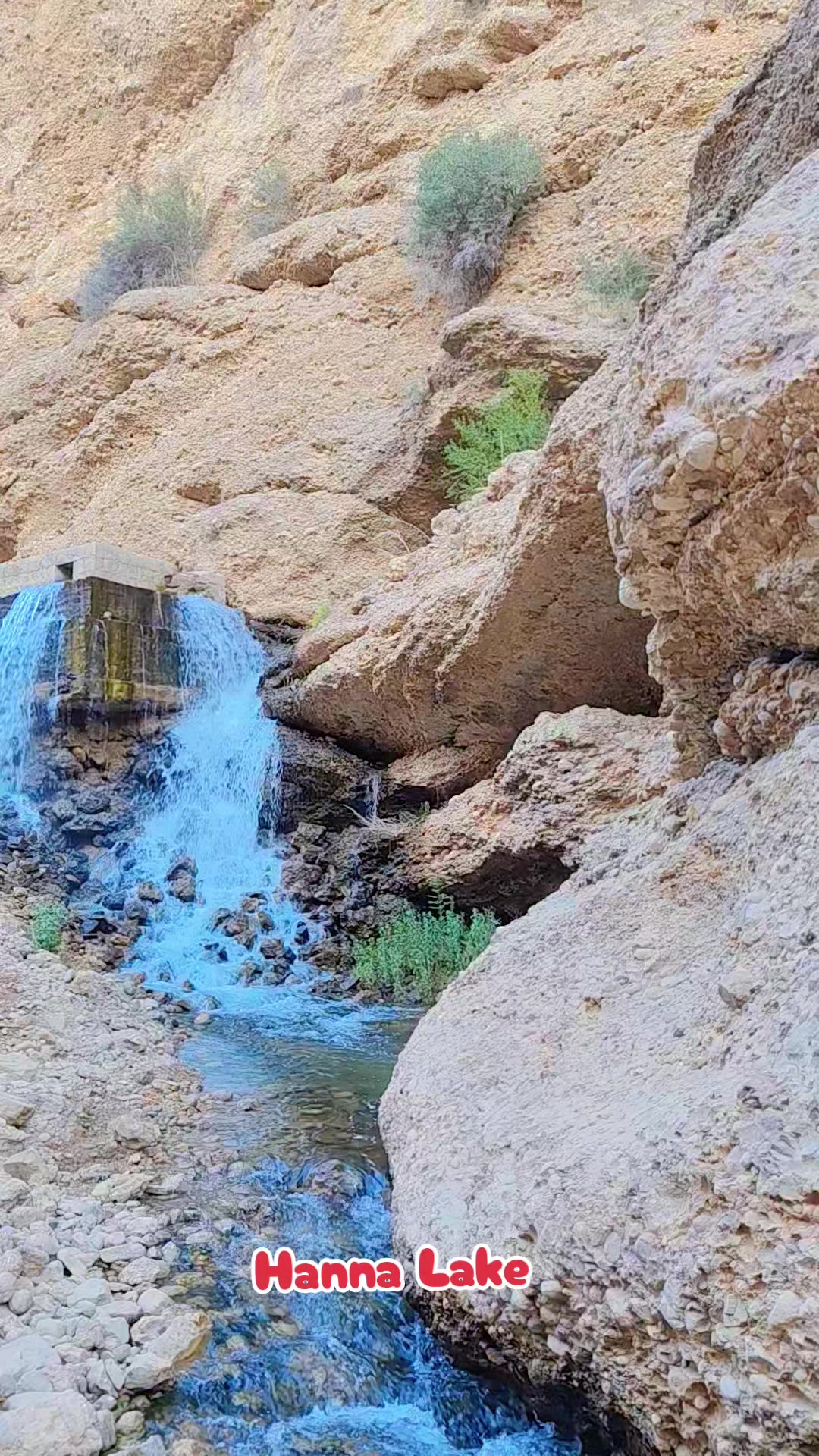 @𝒴𝒶ق𝑜𝑜𝒷 𝒦𝒶𝓀𝒶𝓇