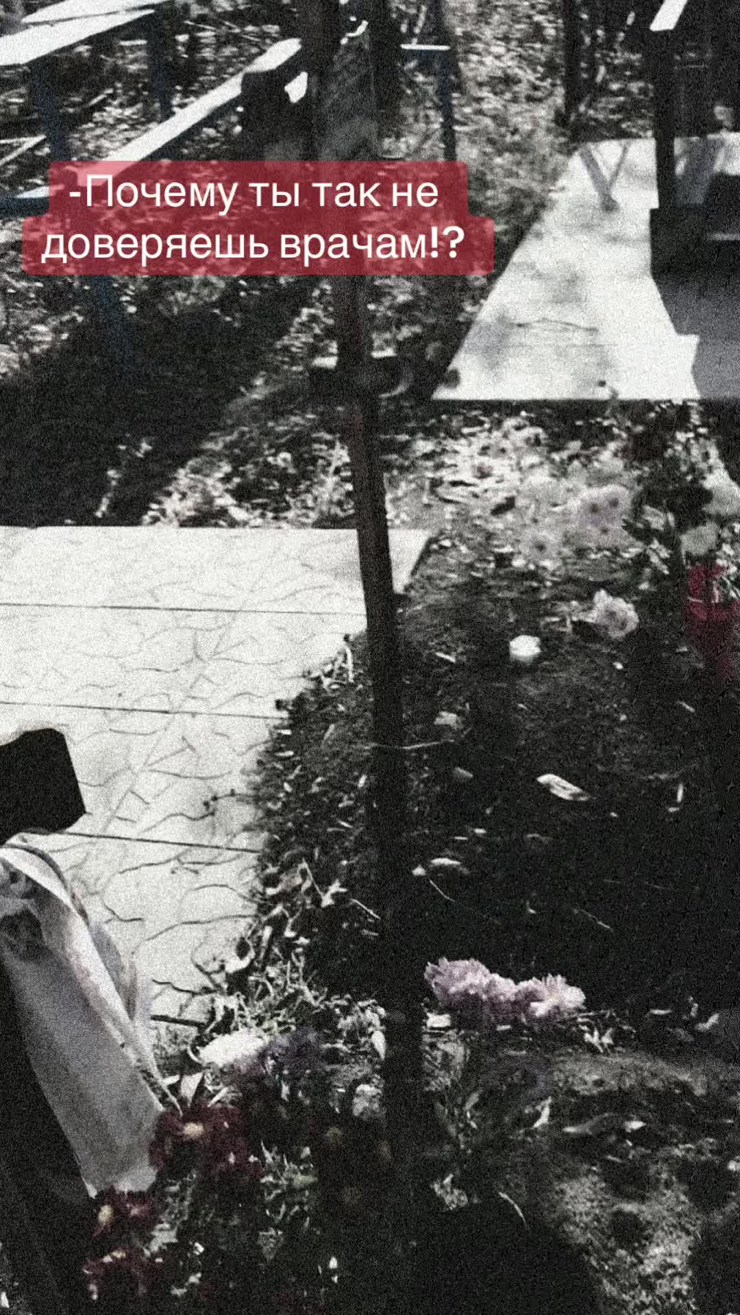 @𝔸𝕟𝕪𝕦𝕥𝕜𝕒 🐱