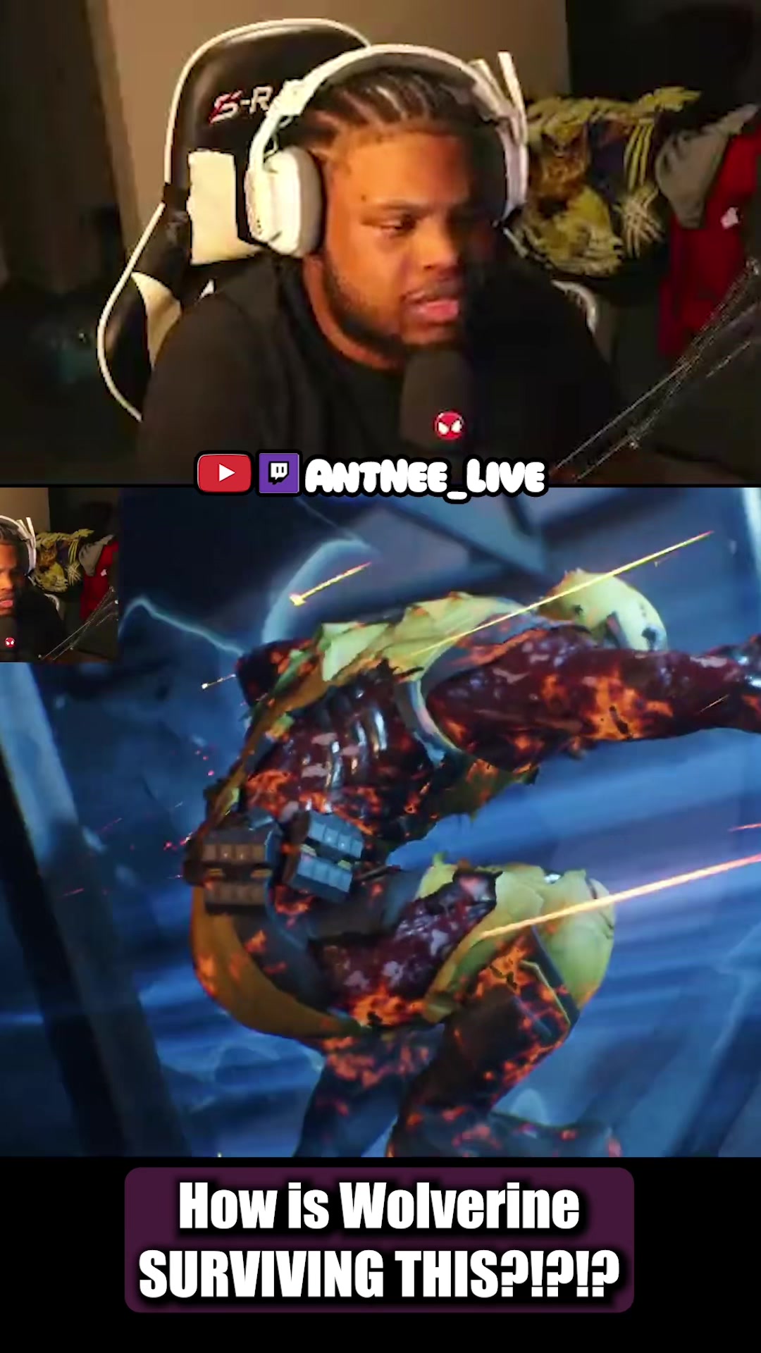 @AntNee Live
