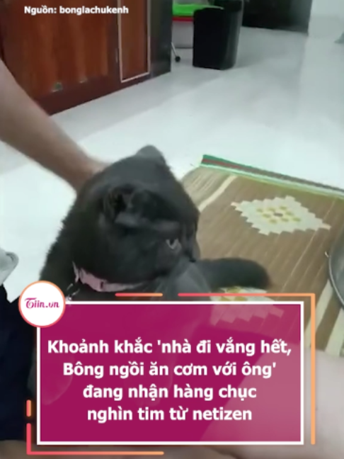 @Tiin.vn