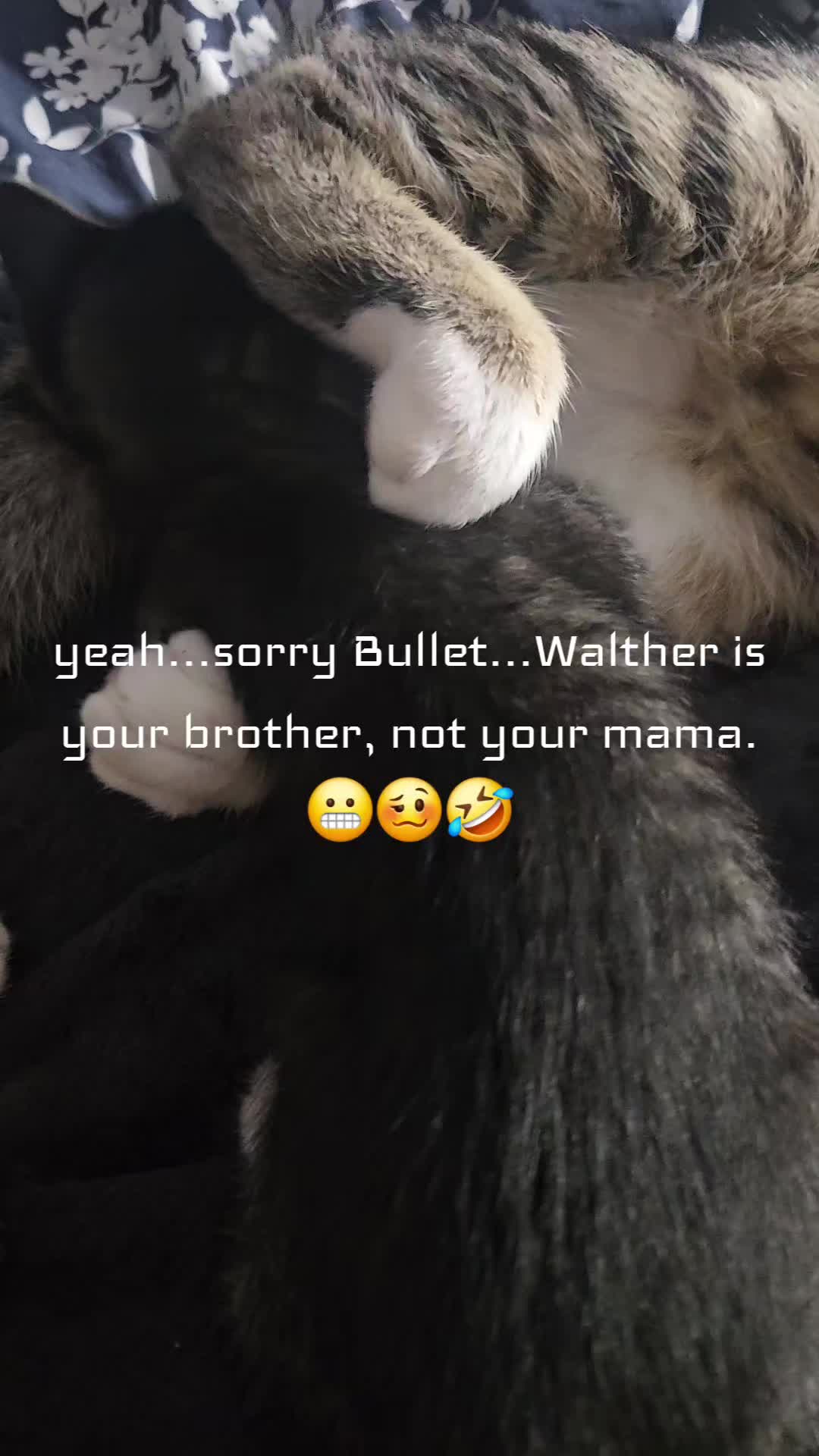 @dustinmatthews751