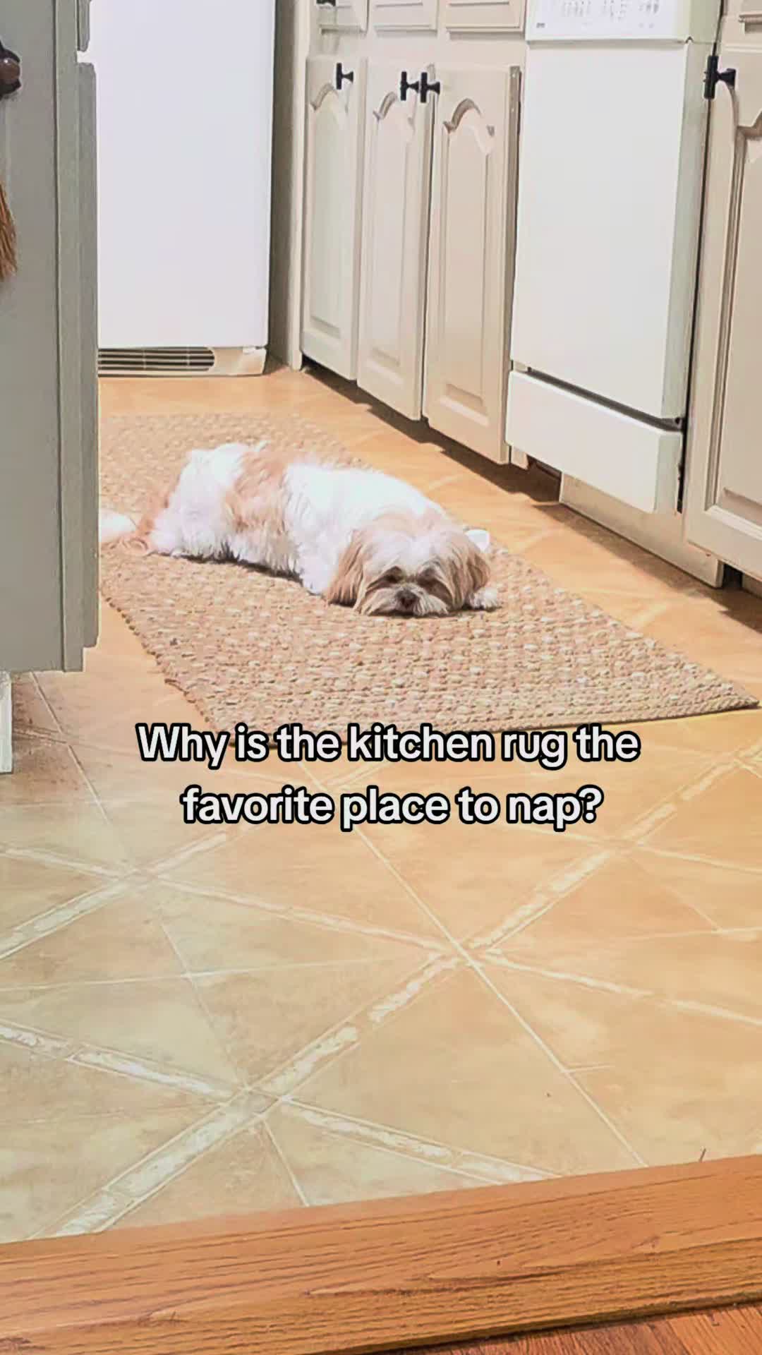 @Little Miss Mollie