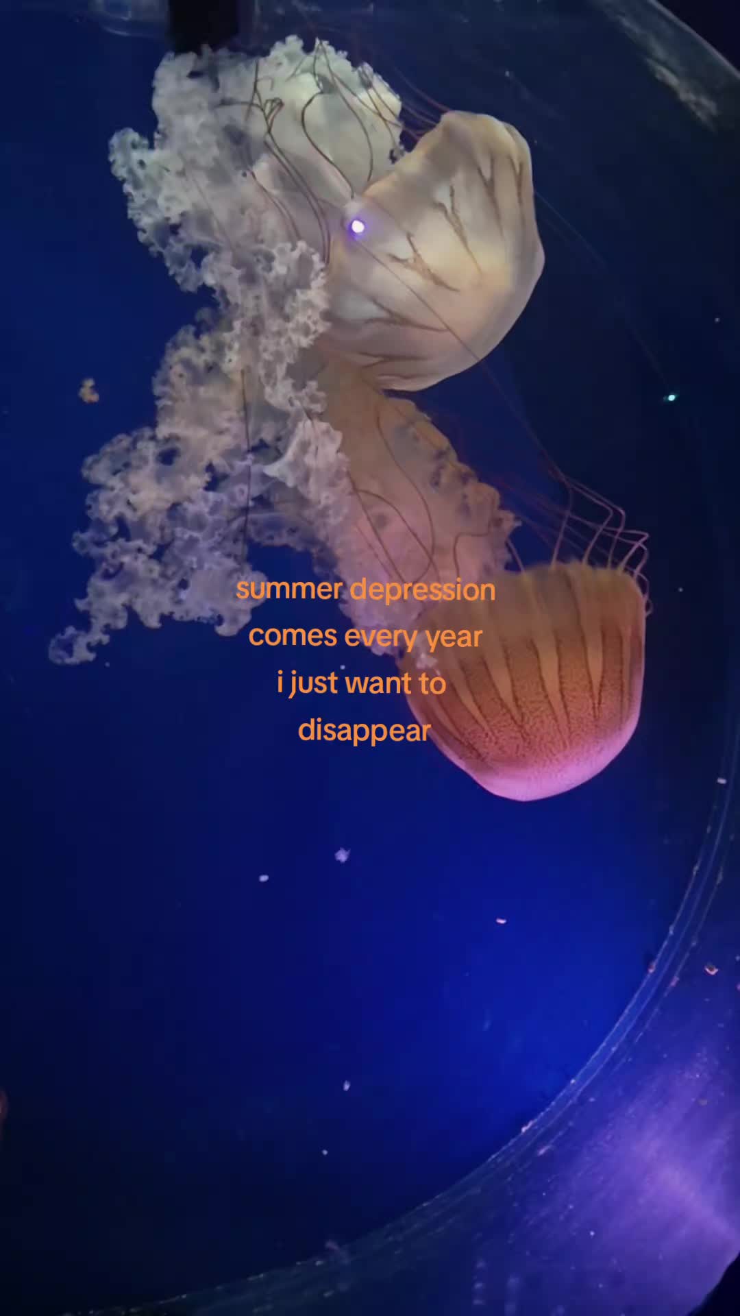 @🐇