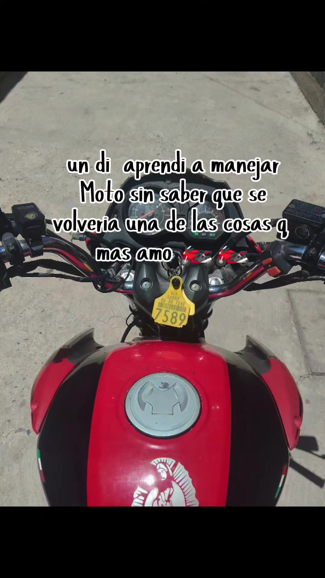 @estrella rivera