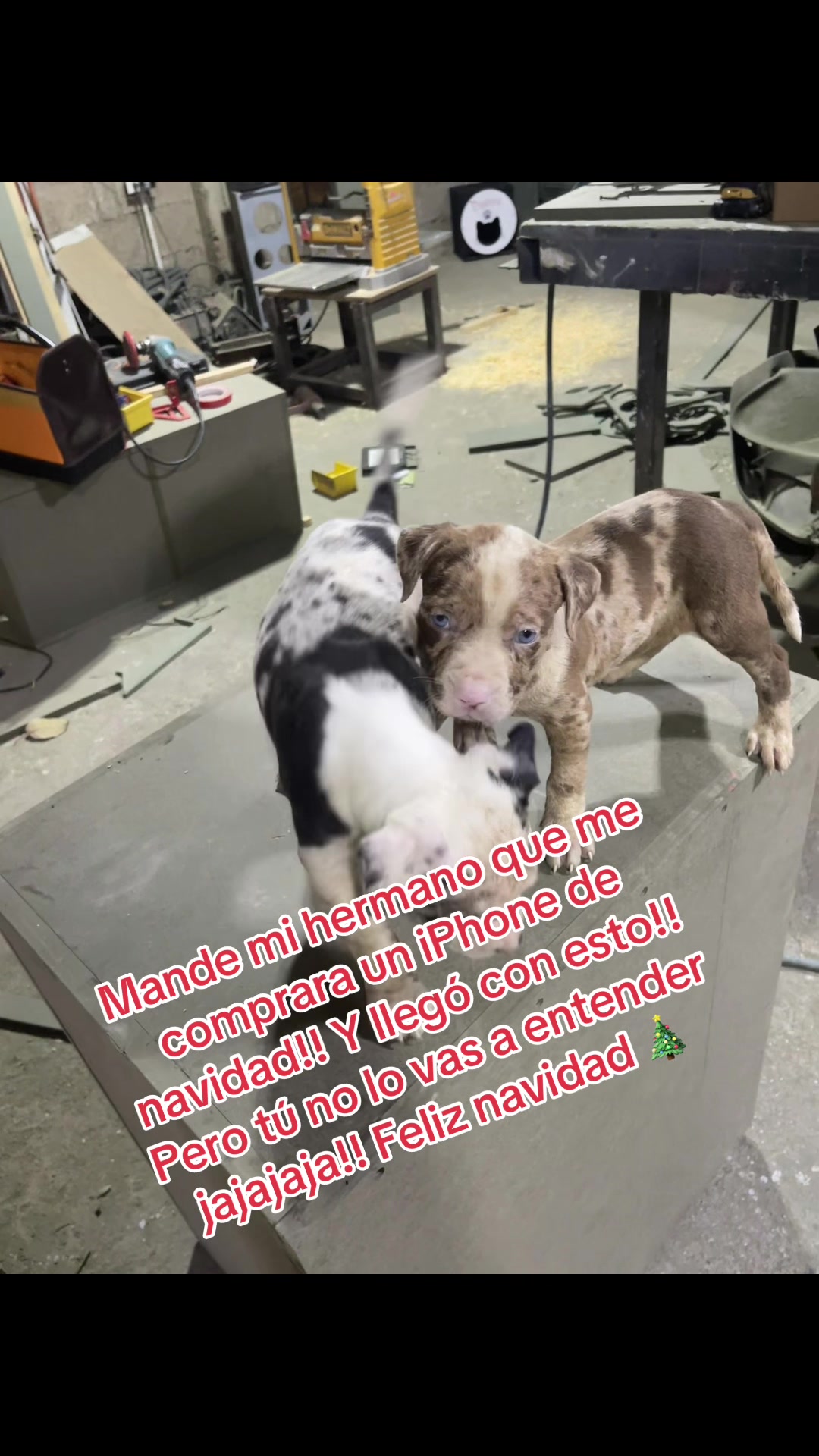@WoodBoxCustoms