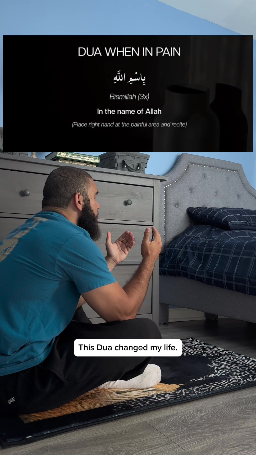 @tazthepali