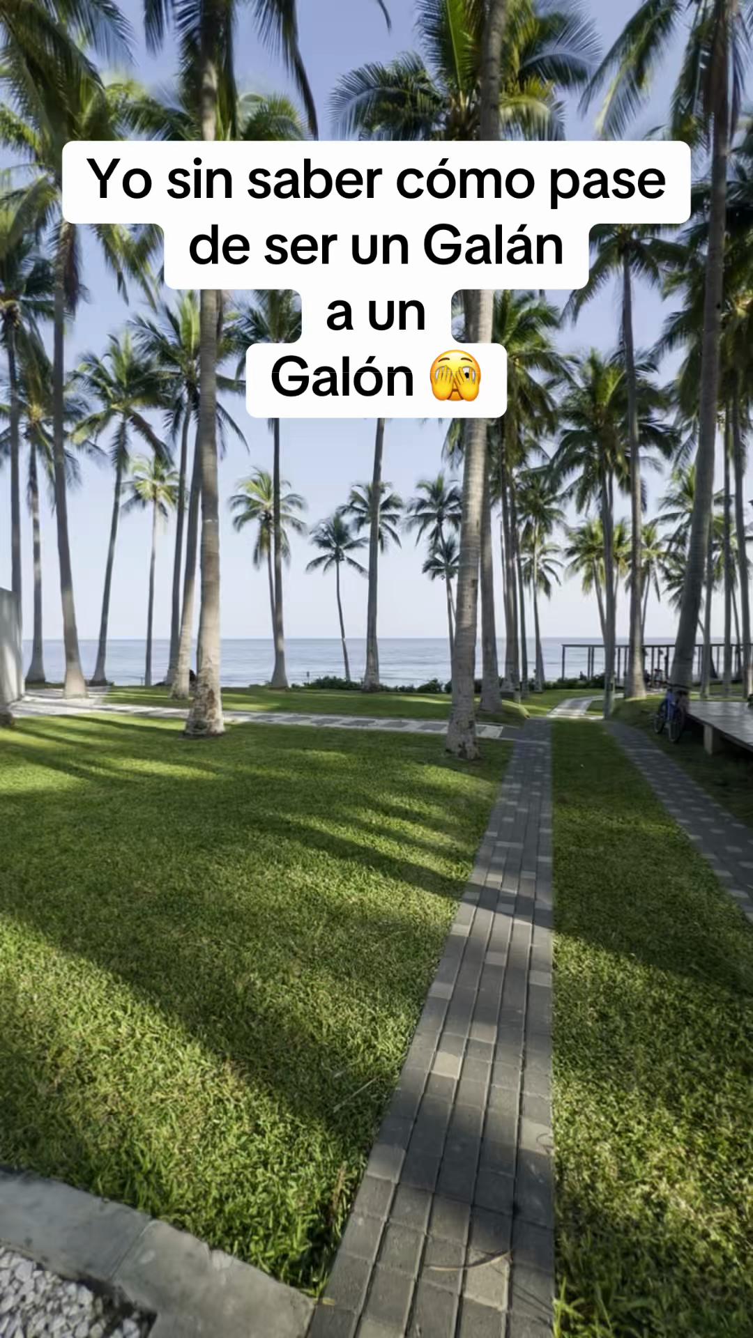 @0 seriedad