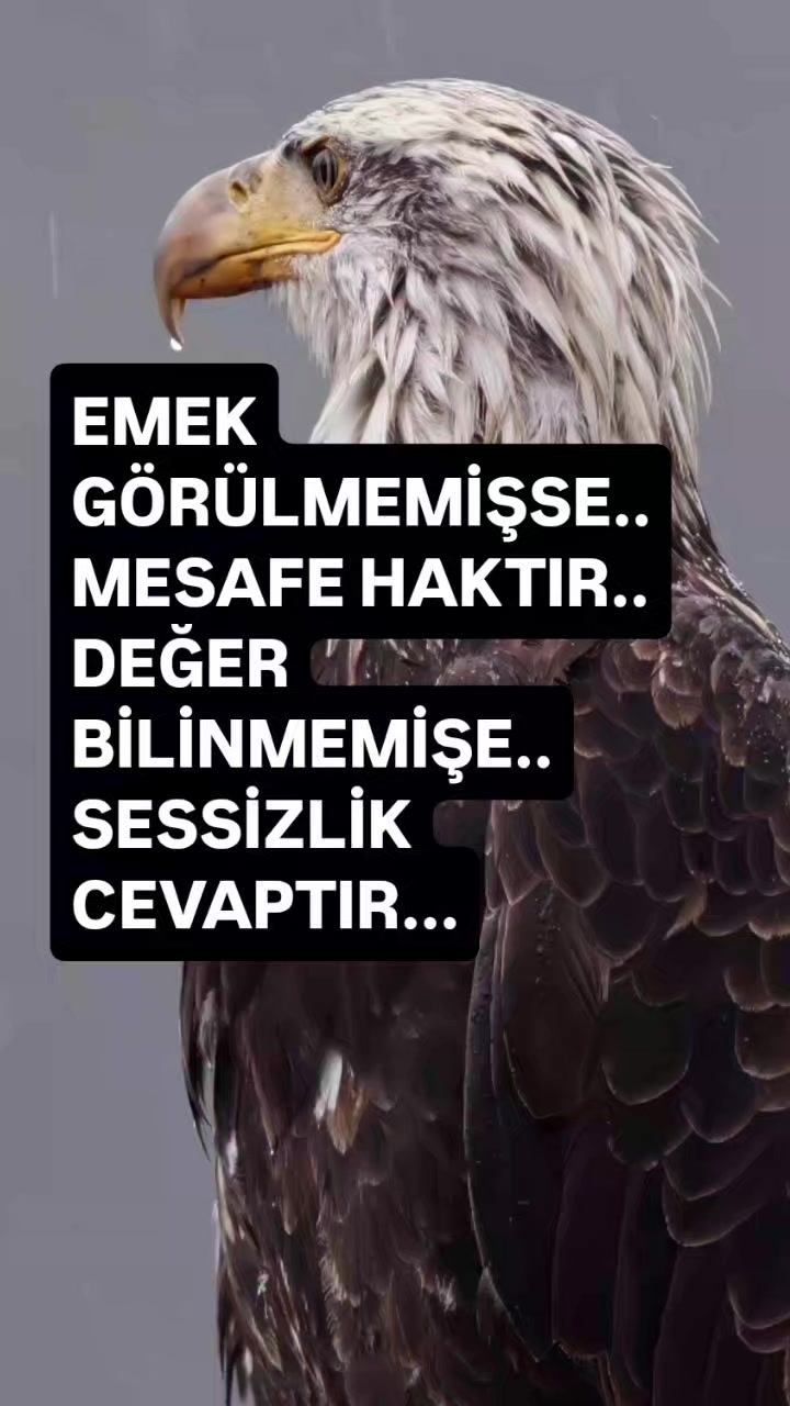 @__İREM__