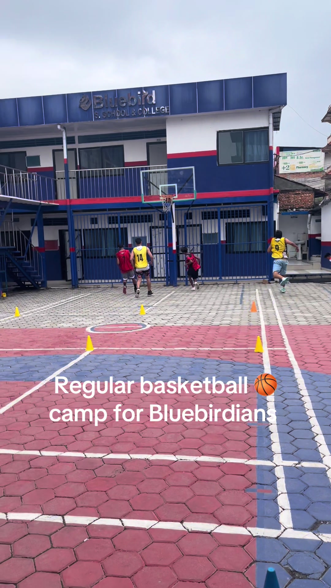 @Bluebird College