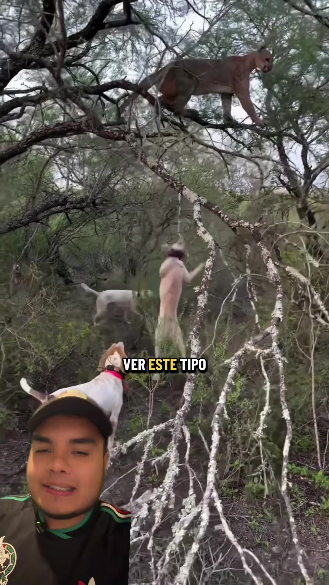 @Jair Herrera 🐆