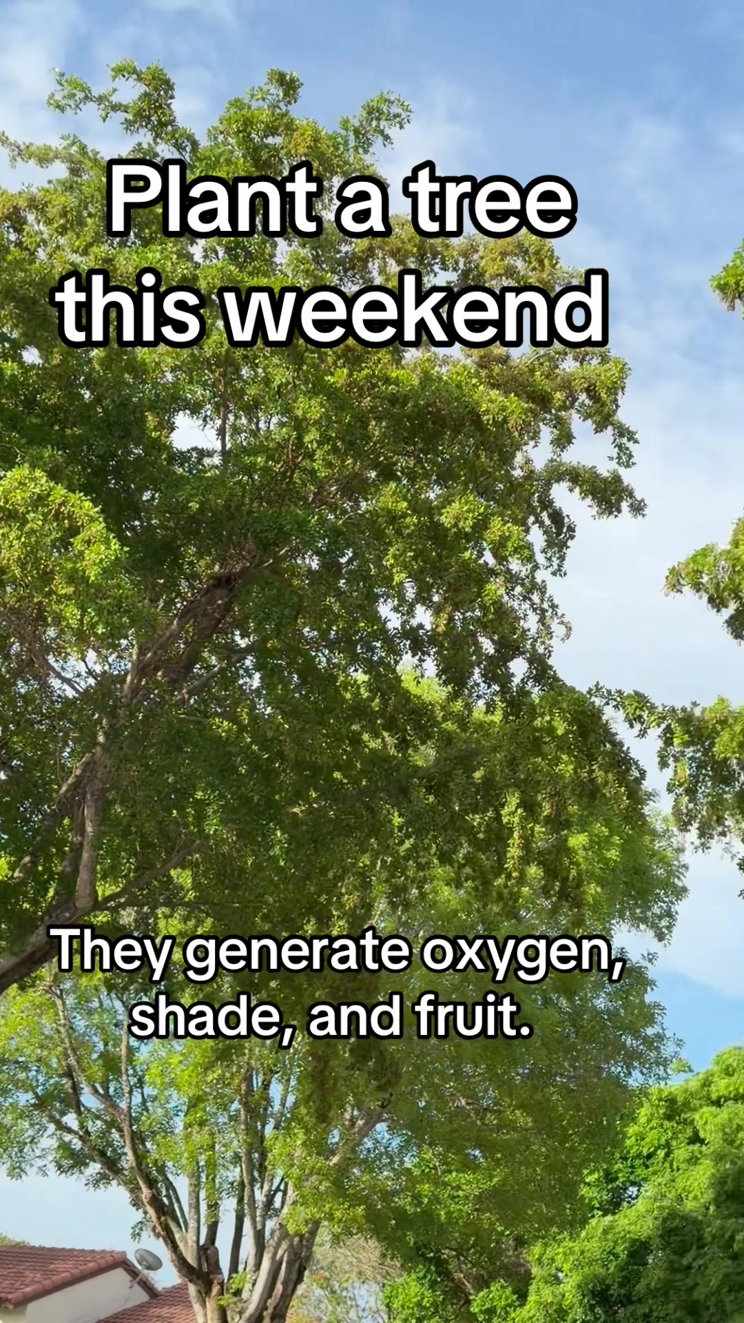 @Florida Land Guy